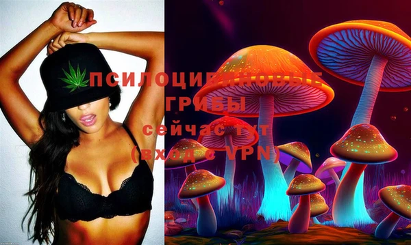 прущие крисы Арсеньев