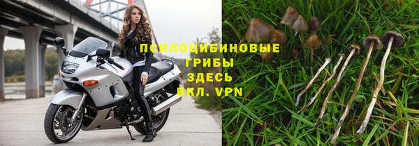 эйфоретик Армянск