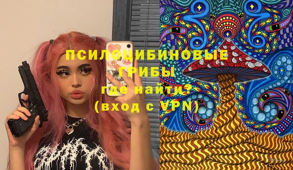 прущие крисы Арсеньев