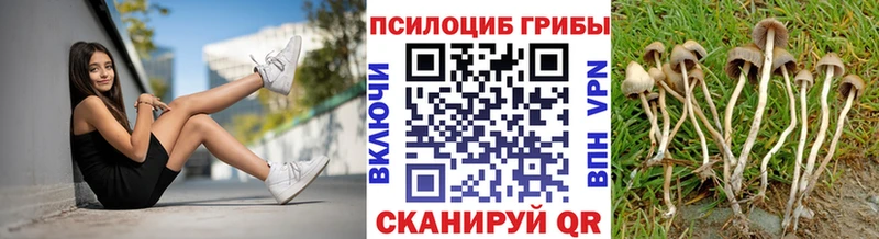 Псилоцибиновые грибы мицелий  Белебей 